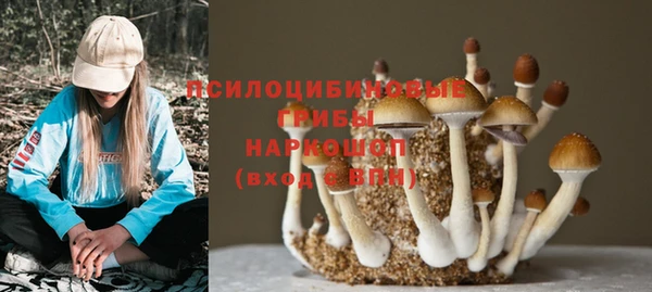 амфетамин Алексин