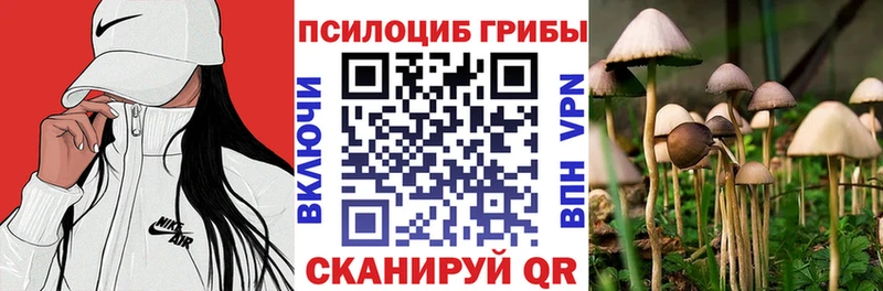 Псилоцибиновые грибы прущие грибы  Бирюч 